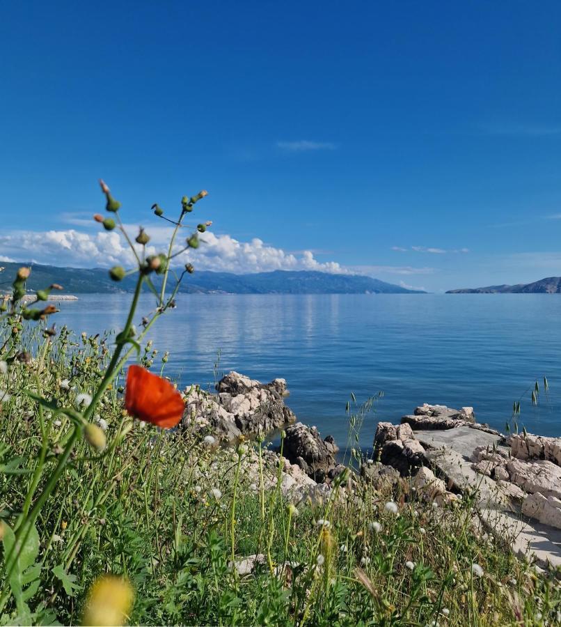 Blue Seagull - Seafront Holiday Home Novi Vinodolski Exterior photo